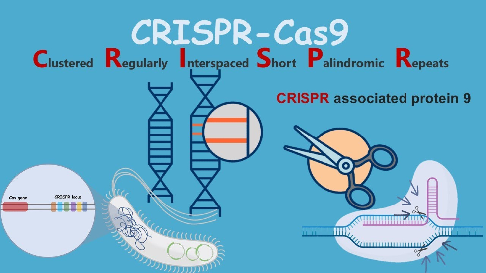 Crispr And Crispr Associated Genes Market