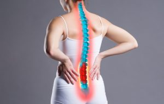 Chiropractic Clinic Services Market